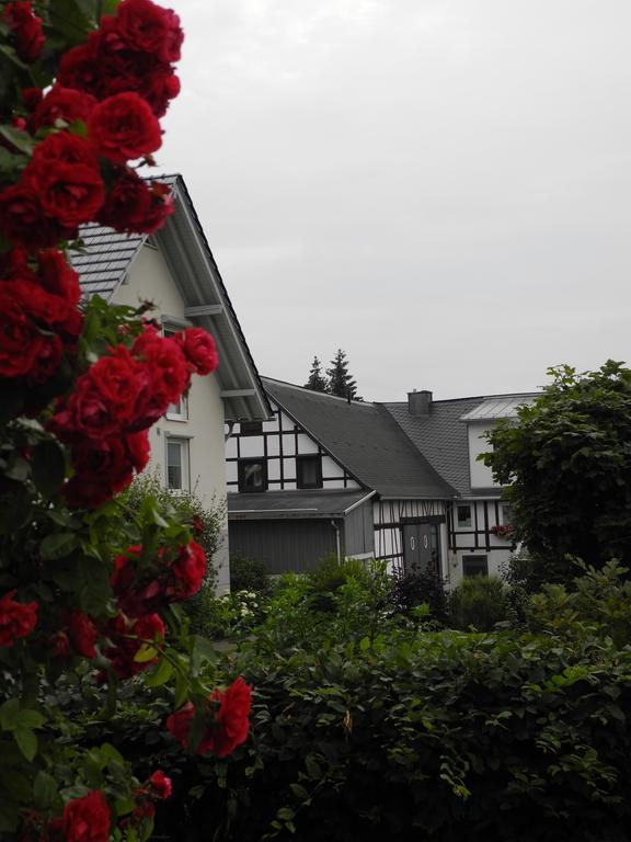 Wilkenhof Apartment Willingen  Exterior photo