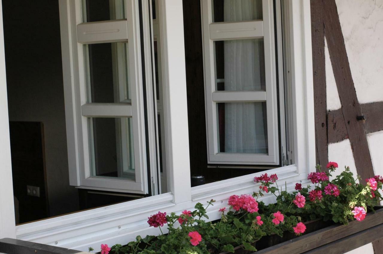 Wilkenhof Apartment Willingen  Exterior photo